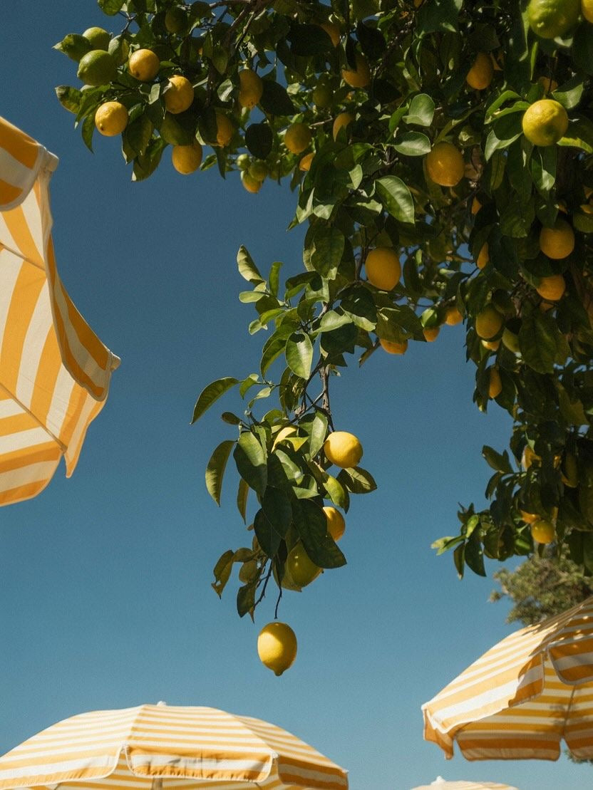 A Love Letter To Summer Forever